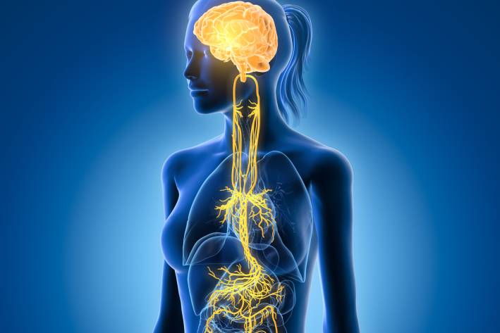 Vagus Nerve Imbalance